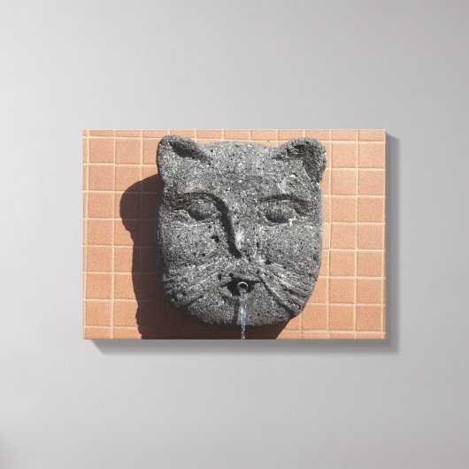 Plaza Cat Fountain Canvas Afdruk (Voorkant)