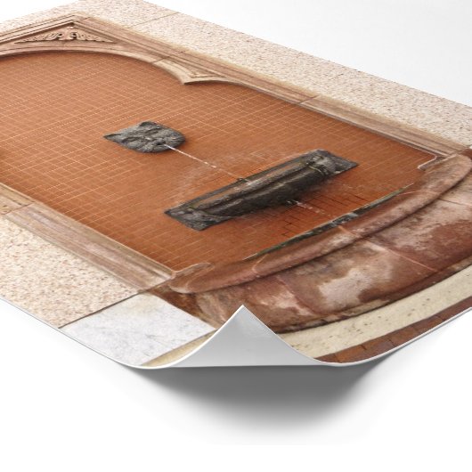 Plaza Cat Fountain Poster (Hoek)