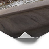 Plaza de la virgin en Basilica de virgen Poster (Hoek)