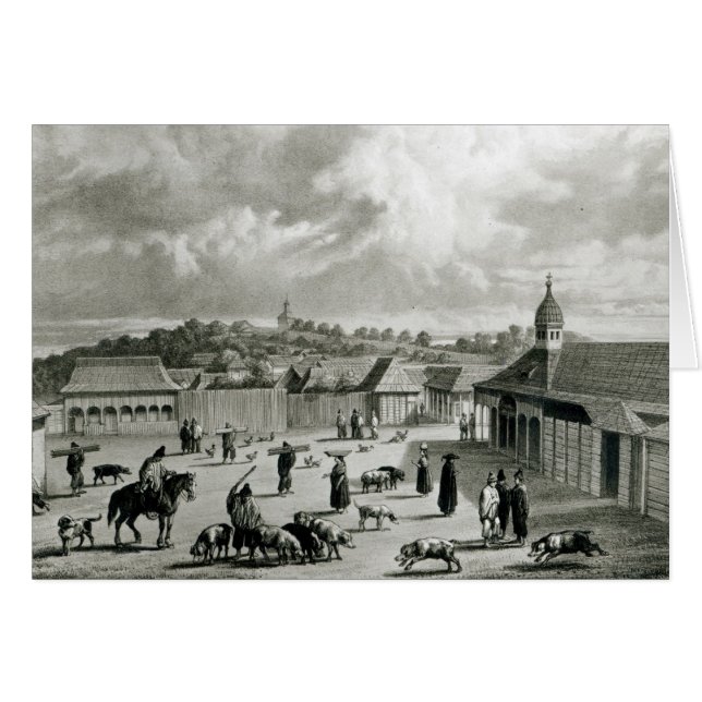 Plaza de San-Carlos de Chiloe, 1835 ] (Voorkant Horizontaal)