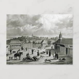 Plaza de San-Carlos de Chiloe, 1835 ] Briefkaart