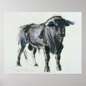 Plaza de Toros de Miajadas 1998 Poster (Voorkant)