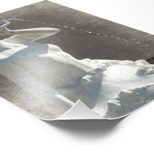 Plaza Mermaid Foto Afdruk (Hoek)