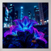 Plazma Poster (Voorkant)