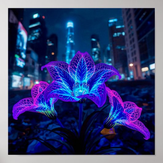 Plazma Poster (Voorkant)