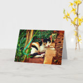 Pleasant Cat Kaart (Gele Bloem)