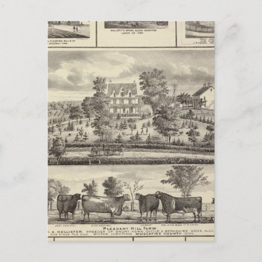 Pleasant Hill Boerderij bldgs in Decorah Briefkaart (Voorkant)