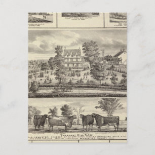 Pleasant Hill Boerderij bldgs in Decorah Briefkaart