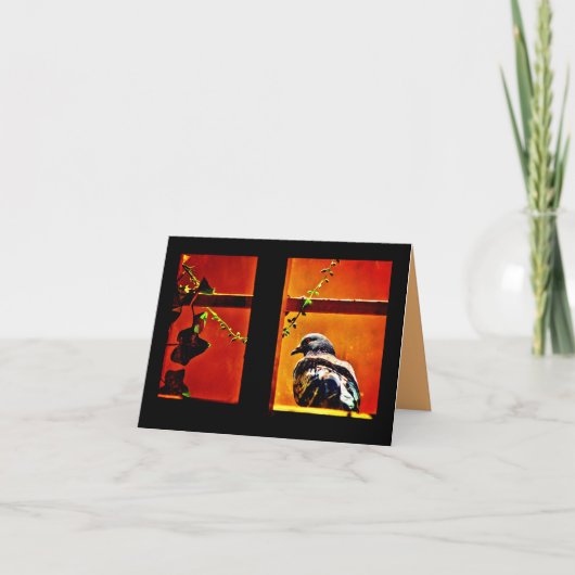 Pleasant Pigeon Kaart (Voorkant)