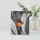 Pleasantville Butterfly - Briefkaart (Staand voorkant)
