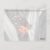 Pleasantville Butterfly - Briefkaart (Achterkant)