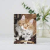 Please Pass the Catnip Cat Post Card Briefkaart (Staand voorkant)
