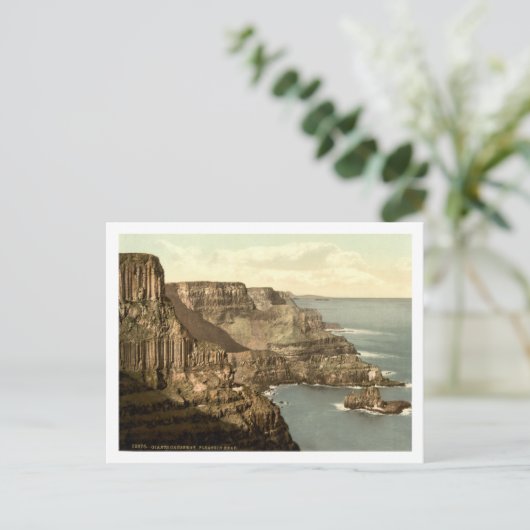Pleaskin Head, Giants Causeway, Co. Antrim Briefkaart (Staand voorkant)