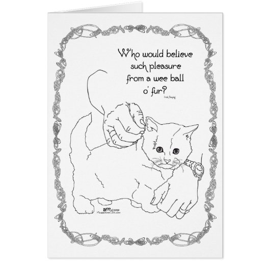 Pleasure Cat (Voorkant)