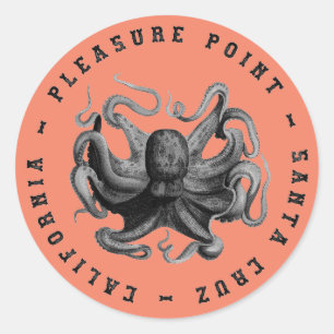 Pleasure Point, Santa Cruz Octopus Classic Ronde Sticker