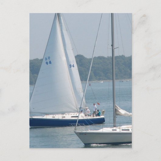 Pleasure Sail-Briefkaarten Briefkaart (Voorkant)