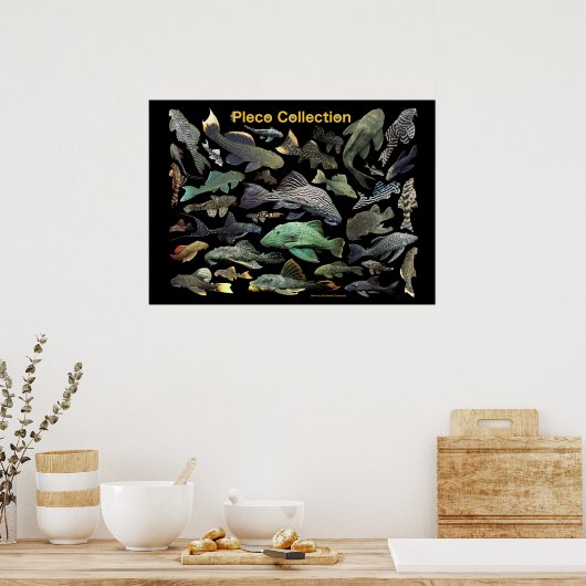 Plecoの の ス タNr.01 Poster (Keuken)