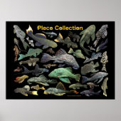 Plecoの の ス タNr.01 Poster (Voorkant)
