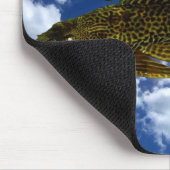 Pleco-migratie #2 muismat (Hoek)