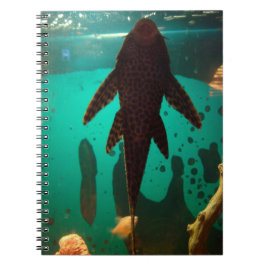 Pleco Notitieboek