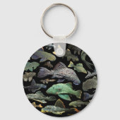Pleco Sleutelhanger (Voorkant)