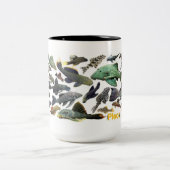 Plecos Tweekleurige Koffiemok (Center)