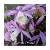 Pleione venster Orchideeën Bloemig Tegeltje (Voorkant)