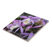 Pleione venster Orchideeën Bloemig Tegeltje (Zijkant)