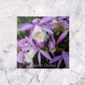 Pleione venster Orchideeën Bloemig Tegeltje