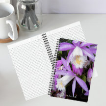 Pleione venster Orchideeën Bloemstuk
