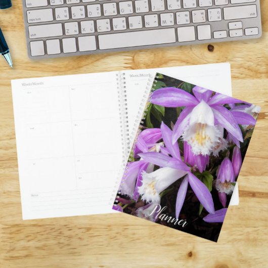 Pleione venster Orchideeën Bloemstuk Planner