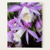 Pleione venster Orchideeën Bloemstuk Planner (Achterkant)