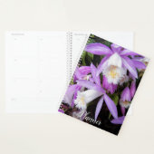 Pleione venster Orchideeën Bloemstuk Planner (Display)