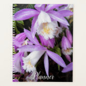 Pleione venster Orchideeën Bloemstuk Planner (Voorkant)