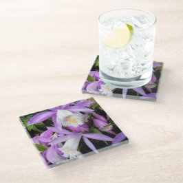 Pleione Windows sill Orchids Floral Glazen Onderzetter