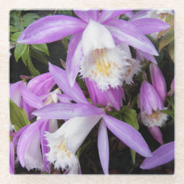 Pleione Windows sill Orchids Floral Glazen Onderzetter