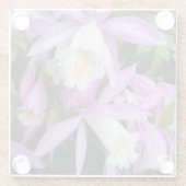 Pleione Windows sill Orchids Floral Glazen Onderzetter (Achterkant)