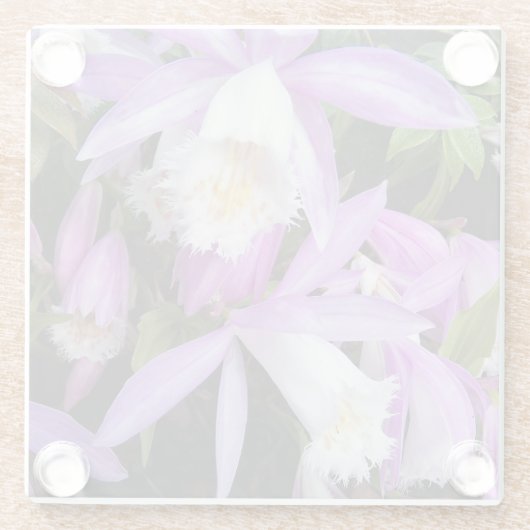 Pleione Windows sill Orchids Floral Glazen Onderzetter (Achterkant)