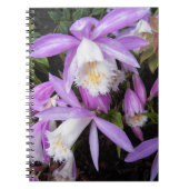 Pleione Windows sill Orchids Floral Notitieboek (Voorkant)