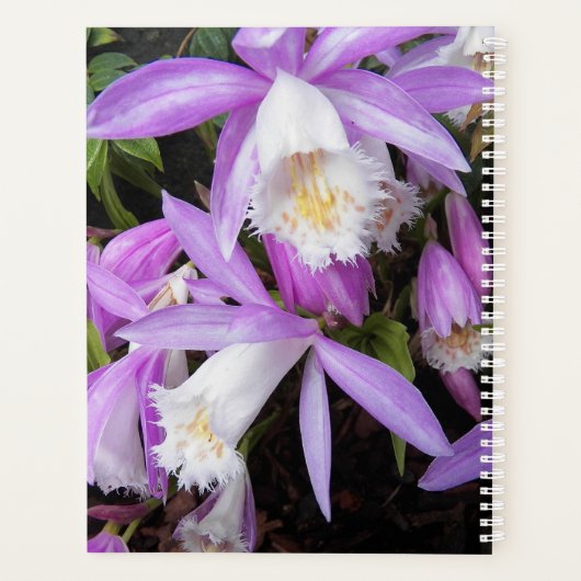 Pleione Windows sill Orchids Floral Planner (Achterkant)