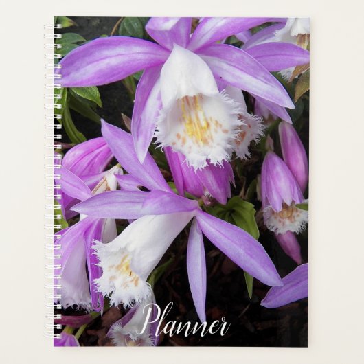 Pleione Windows sill Orchids Floral Planner (Voorkant)