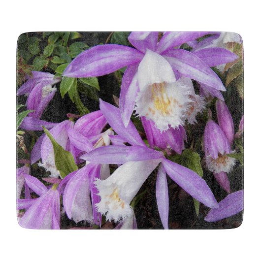 Pleione Windows sill Orchids Floral Snijplank (Voorkant)