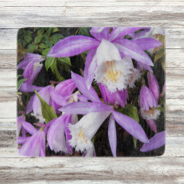 Pleione Windows sill Orchids Floral Snijplank