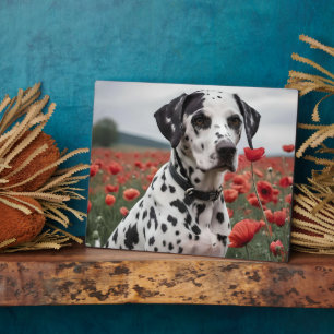 **"Plekken van vreugde: Dalmatiër in een rood papa Fotoplaat