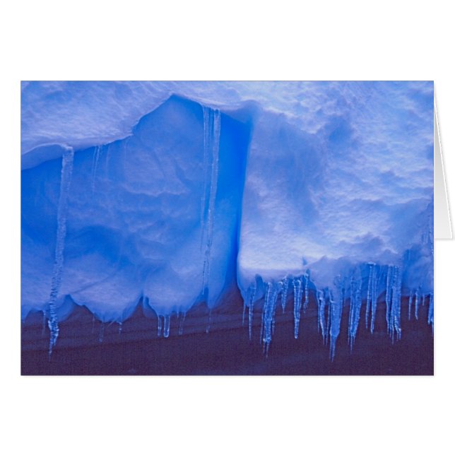 Pleneau IJskerkhof, Antarctica: Blauw (Voorkant Horizontaal)