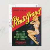 Plenti Grand Briefkaart (Voorkant / Achterkant)