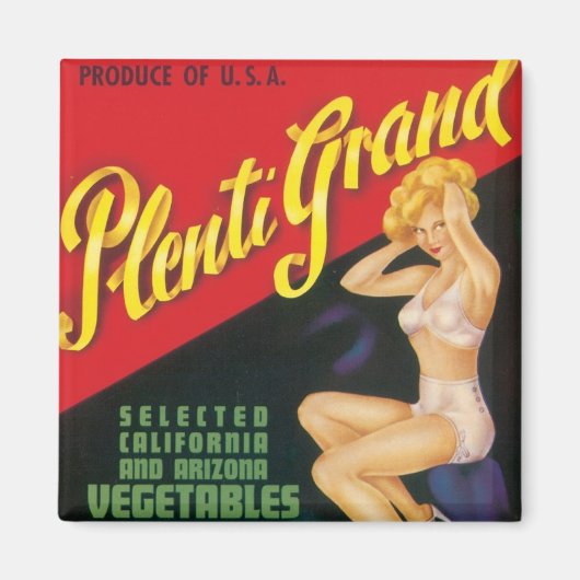 Plenti Grand Magneet (Voorkant)