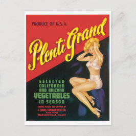 Plenti Grand Watsonville California Arizona Pinup Briefkaart