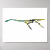 plesiosaur skelet poster (Voorkant)