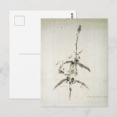 Plesiosaurus dolichodeirus briefkaart (Voorkant / Achterkant)